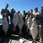 Halibut Limit from Cook Inlet