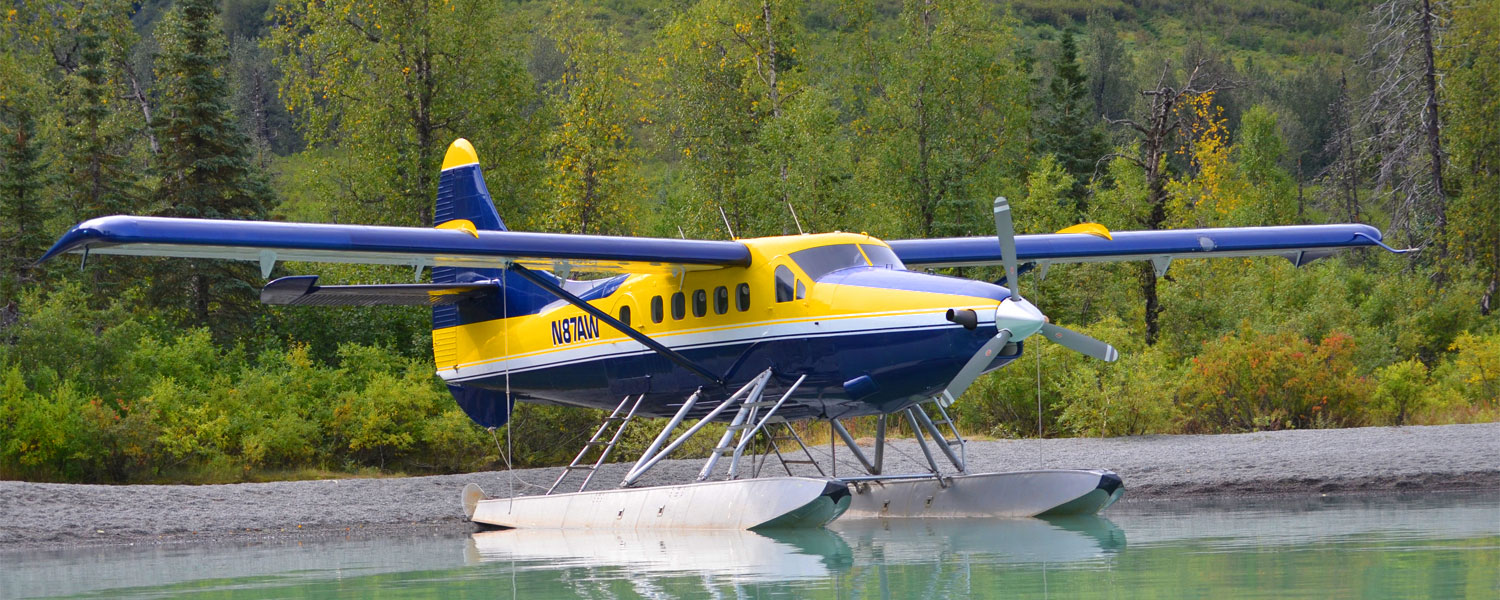Alaska King Salmon Equalizer Fly Kit