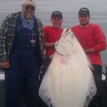 Halibut