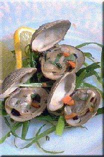 Steamer Clams Steamers