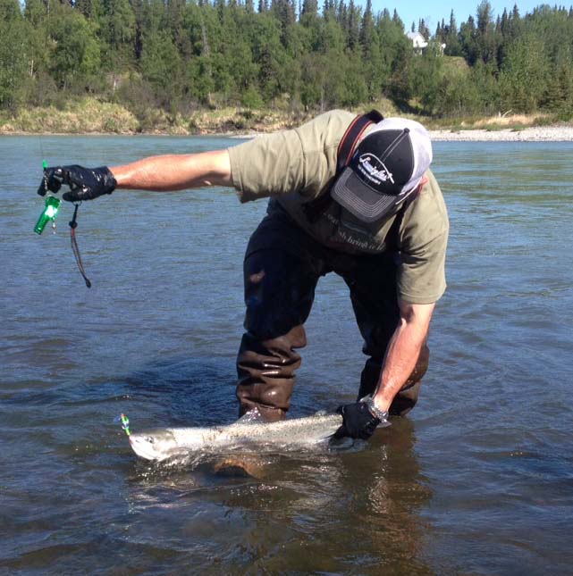 Kasilofsteelhead