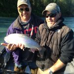 Burktrout