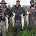 Bognarsilvers3