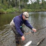Steelhead2