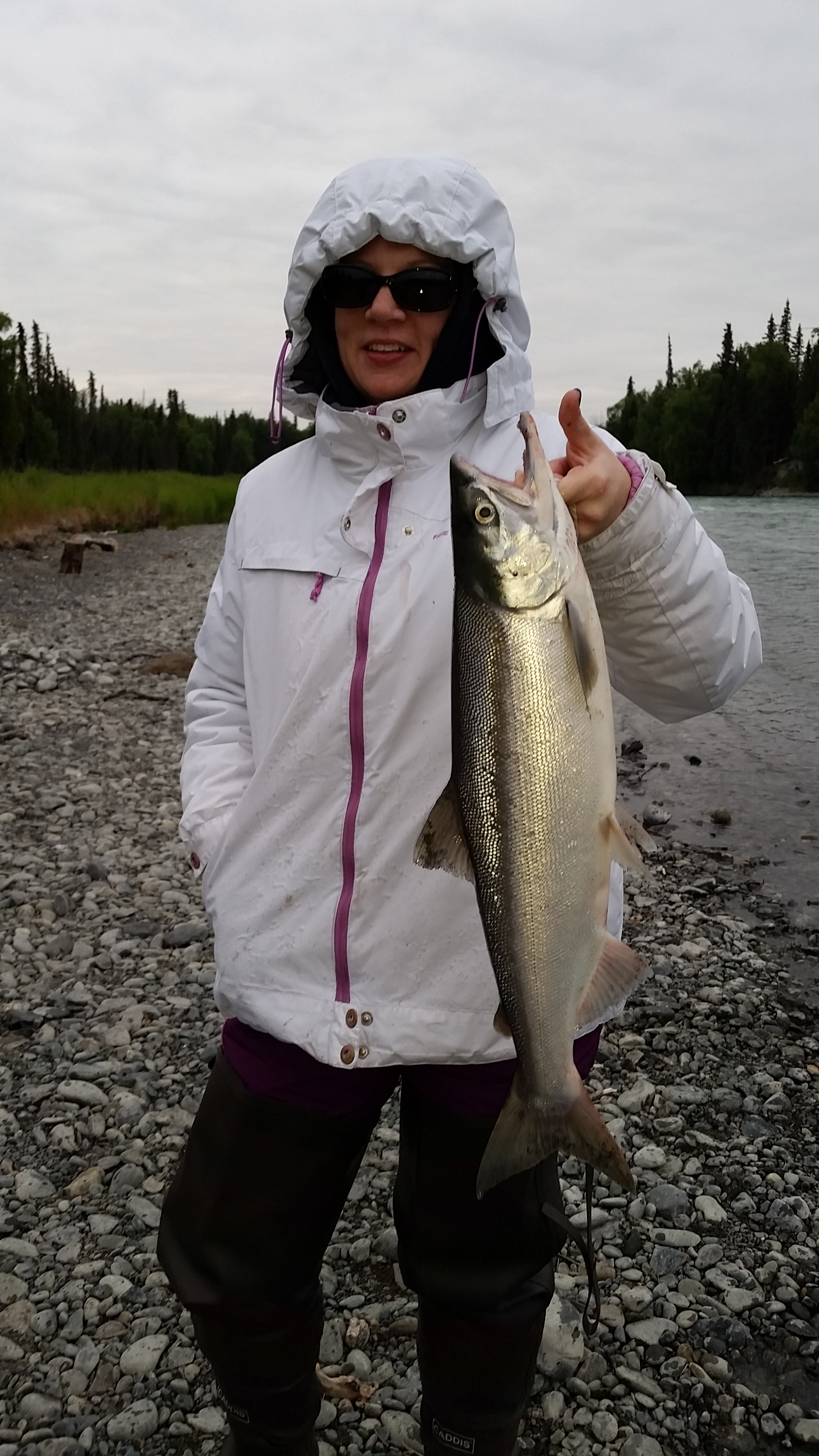 Kasilofsockeye2 Kasilofsockeye2