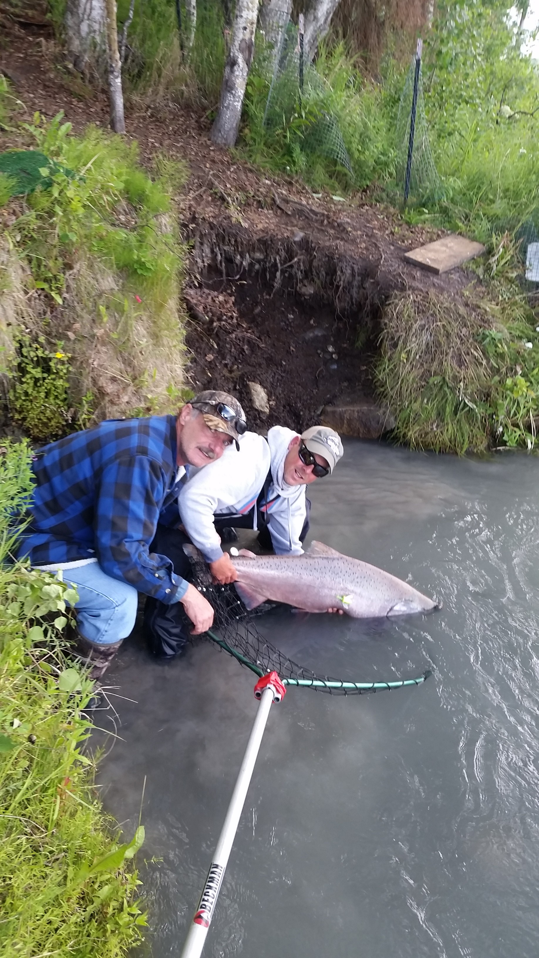 Alaska Fishing Report: 2016: The Year In Review - Alaska Fishing Trips with  Mark Glassmaker