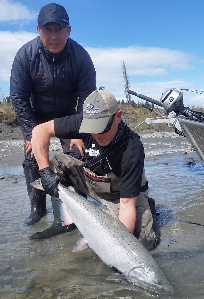 Kasilof King Salmon Mark Glassmaker Alaska Fishing 10