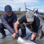 Kasilof King Salmon Mark Glassmaker Alaska Fishing 11