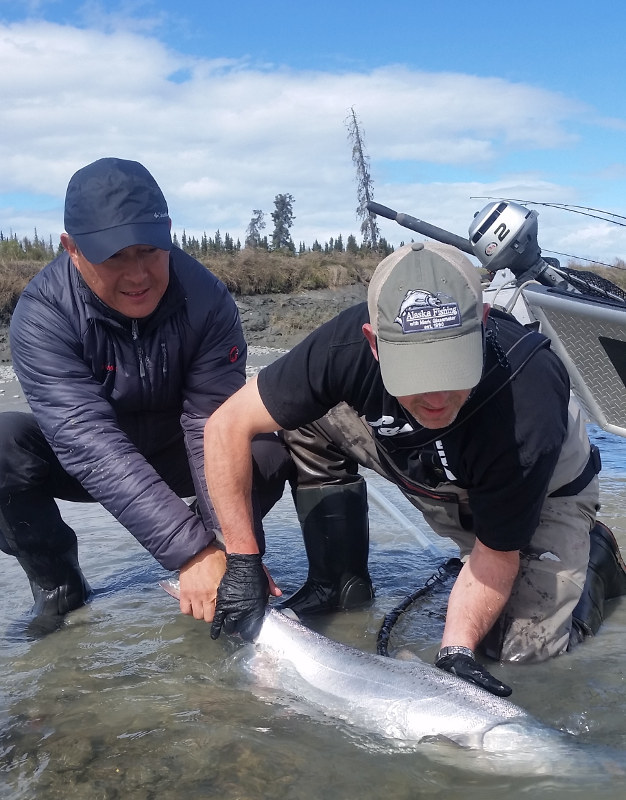Kasilof King Salmon Mark Glassmaker Alaska Fishing 11