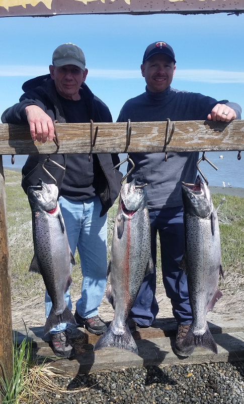 Kasilof King Salmon Mark Glassmaker Alaska Fishing 17