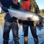Kasilof King Salmon Mark Glassmaker Alaska Fishing 2