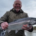 Kasilof King Salmon Mark Glassmaker Alaska Fishing 21