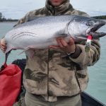 Kasilof King Salmon Mark Glassmaker Alaska Fishing 28