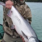 Kasilof King Salmon Mark Glassmaker Alaska Fishing 29
