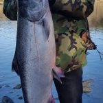 Kasilof King Salmon Mark Glassmaker Alaska Fishing 4