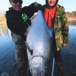 Kasilof King Salmon Mark Glassmaker Alaska Fishing 41