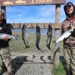 Kasilof King Salmon Mark Glassmaker Alaska Fishing 44