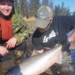Kasilof King Salmon Mark Glassmaker Alaska Fishing 5