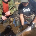 Kasilof King Salmon Mark Glassmaker Alaska Fishing 6