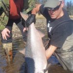 Kasilof King Salmon Mark Glassmaker Alaska Fishing 7