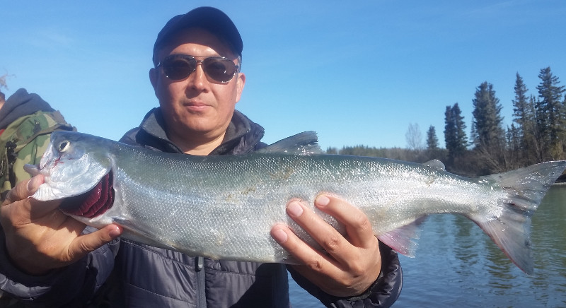 Kasilof King Salmon Mark Glassmaker Alaska Fishing 8