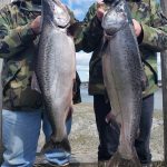 Kasilof King Salmon Mark Glassmaker Alaska Fishing 9