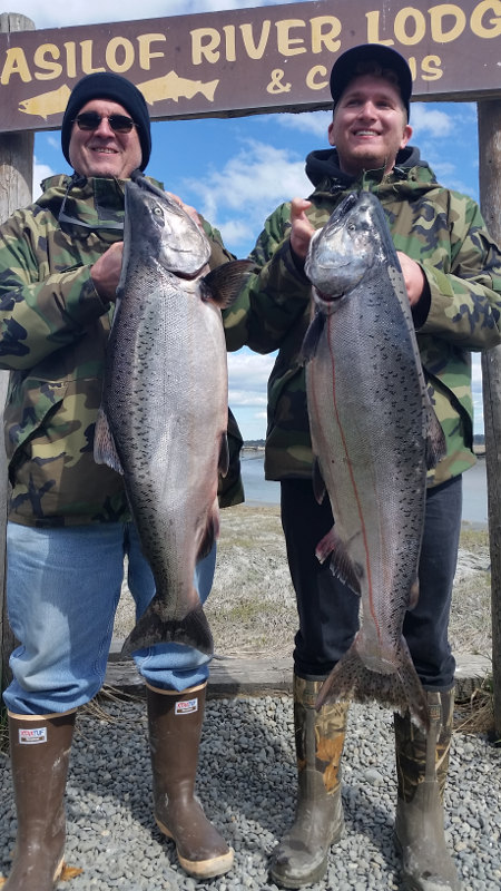 Kasilof King Salmon Mark Glassmaker Alaska Fishing 9