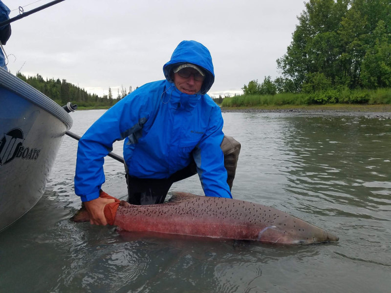 Kasilof King Salmon