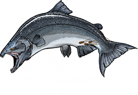 Alaska Fishing Humor - Alaska Fishing Trips with Mark Glassmaker
