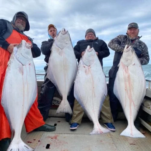 Halibut Fishing Trips 500×500