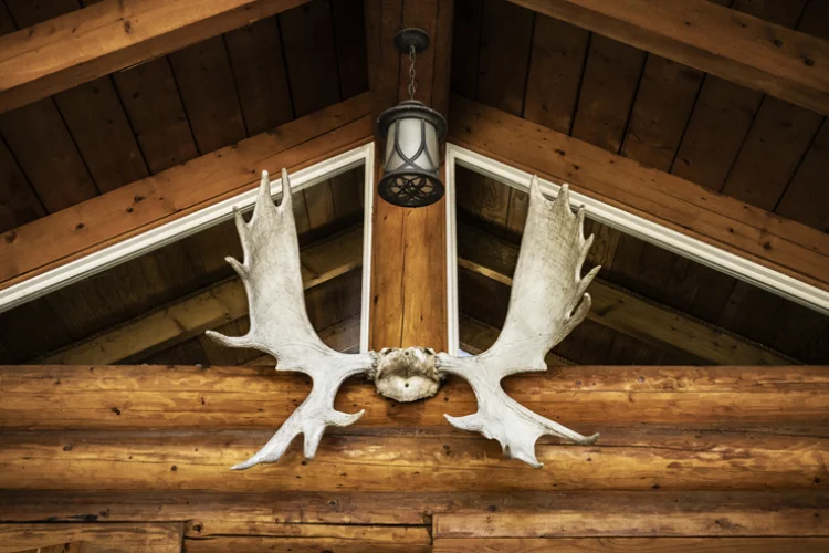Chinook Cabin