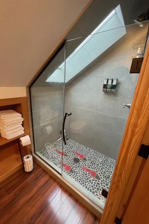 Shower 1 500x750