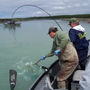 Fishing action on a river boat.