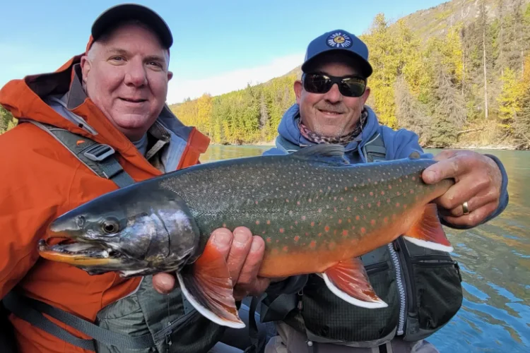 Bob And Mark And Nice Dolly Varden 750×500