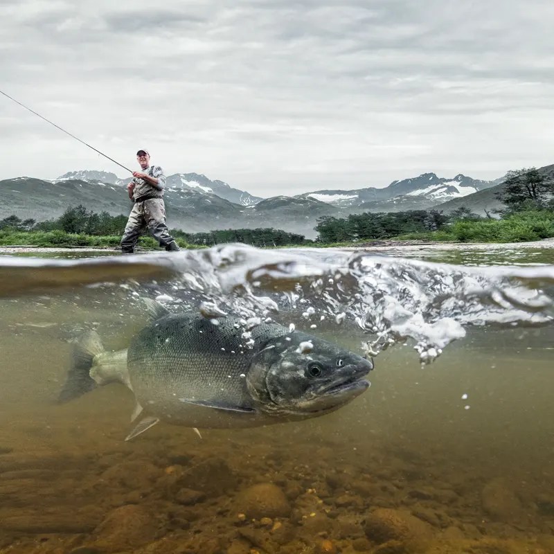 Planning your alaska fishing trip