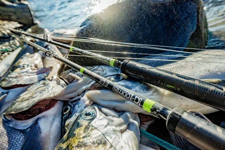 GLoomis Fishing Rods