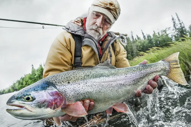 Kenai River Rainbow Trout 1500×500
