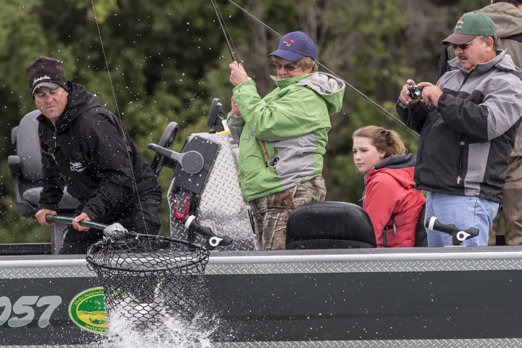 Kenai River Silver In The Net 750×500