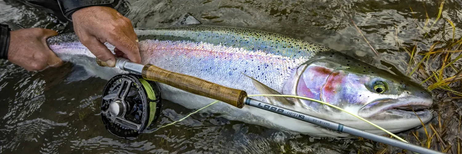 Kasilof Steelhead 1500×500