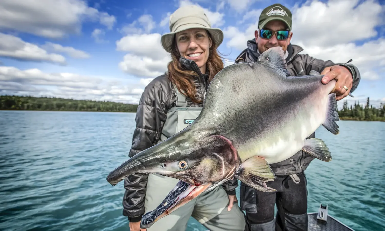 Kenai River Pink Salmon 1500×900
