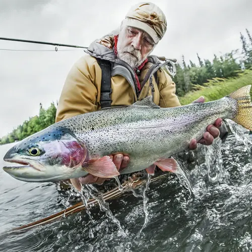 Kenai River Rainbow Trout 500×500