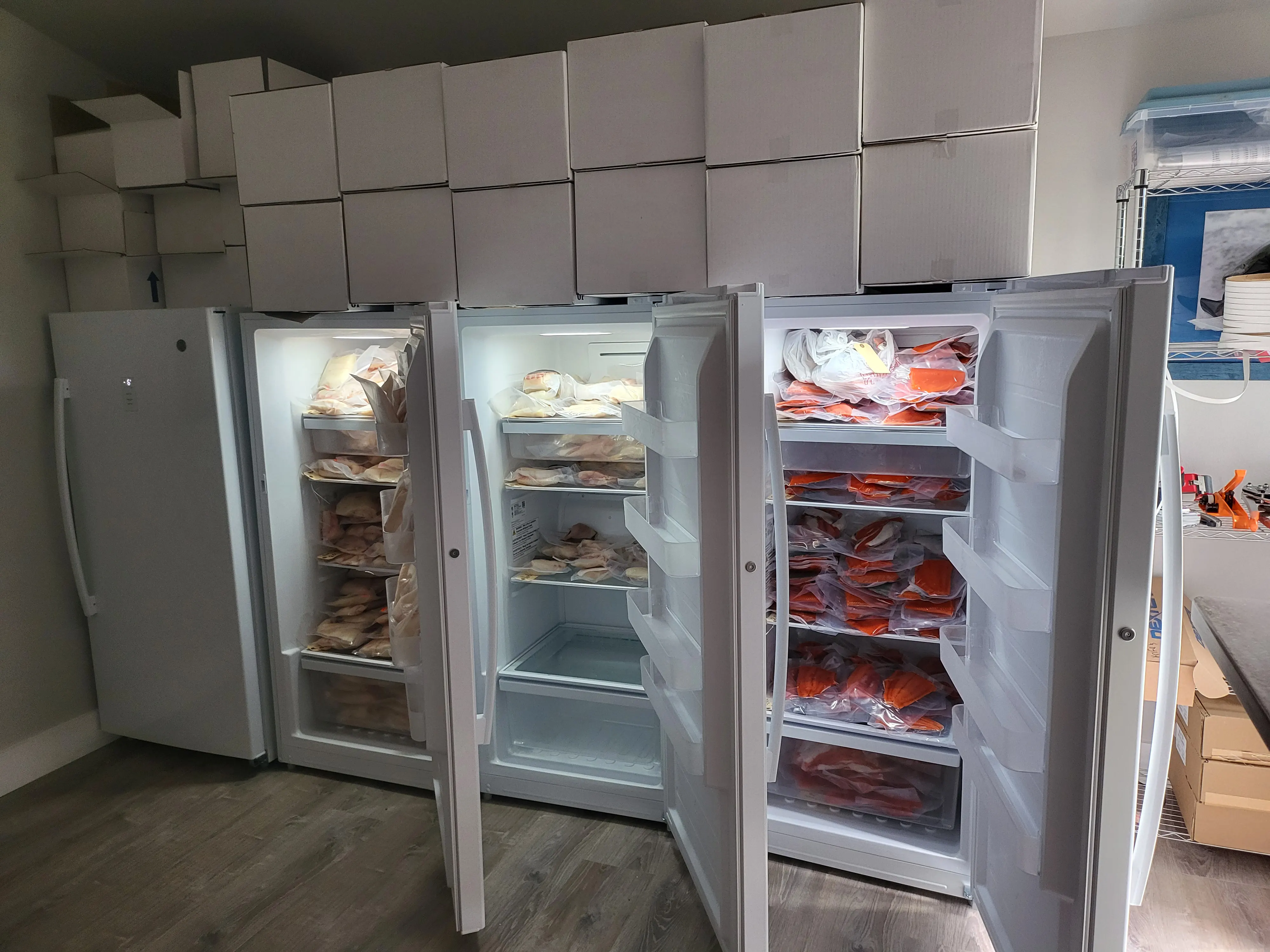 Freezers With Processed Salmon And Halibut