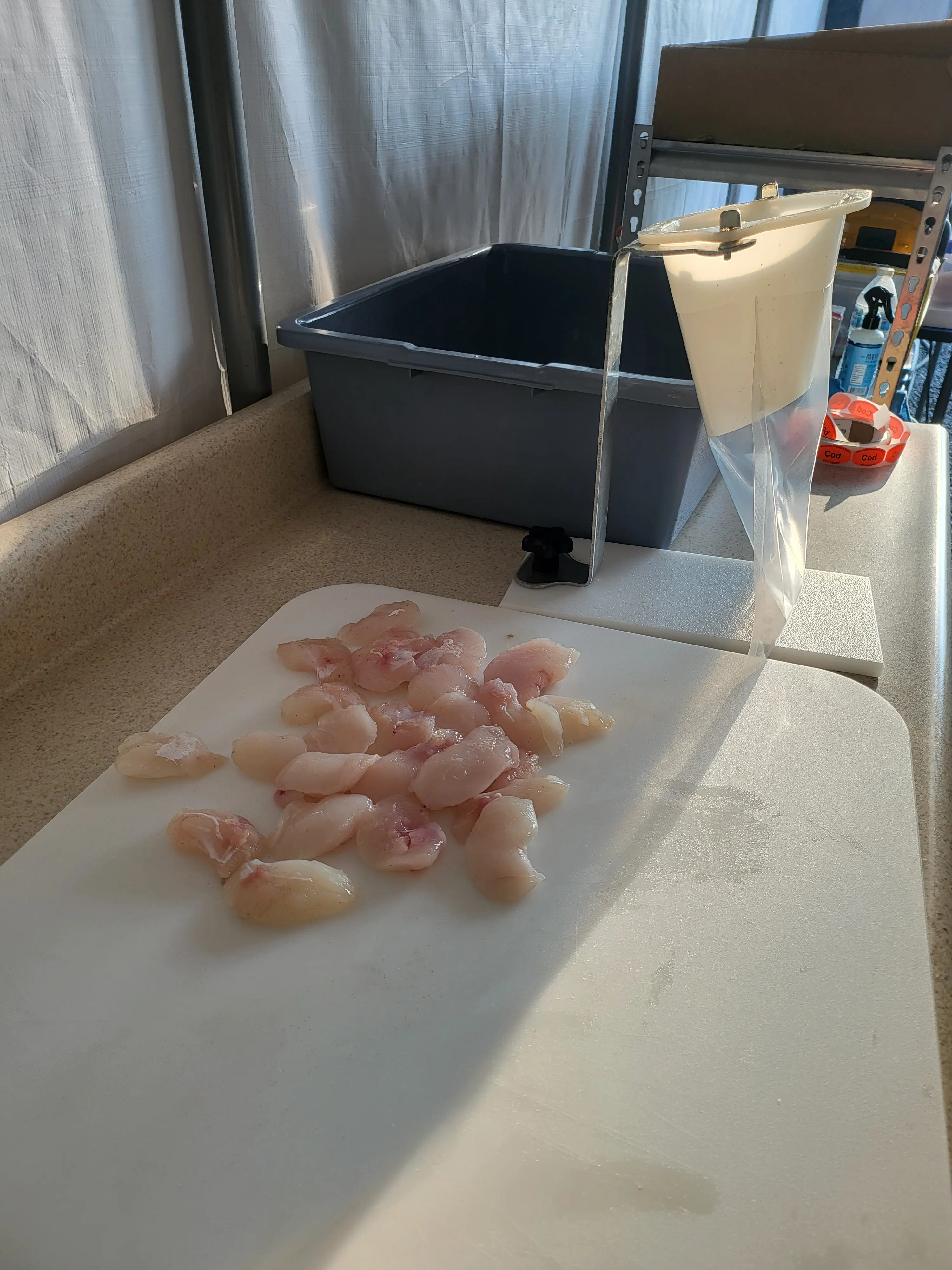 Halibut Cheeks