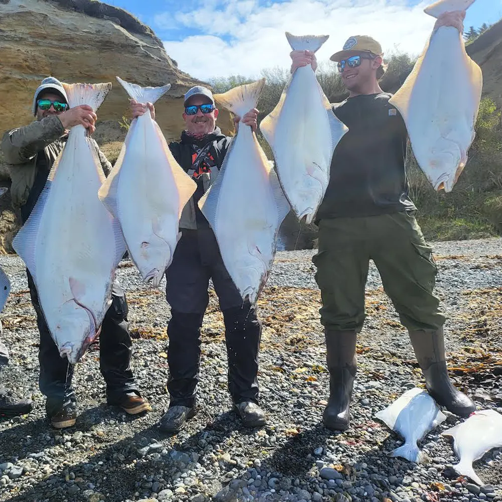 Halibut Limits Cook Inlet 2
