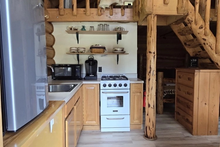 Lazy Salmon Chinook Interior 750x500 1
