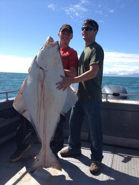 Cook Inlet Halibut