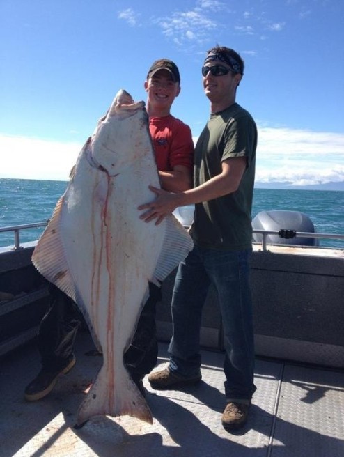 Cook Inlet Halibut