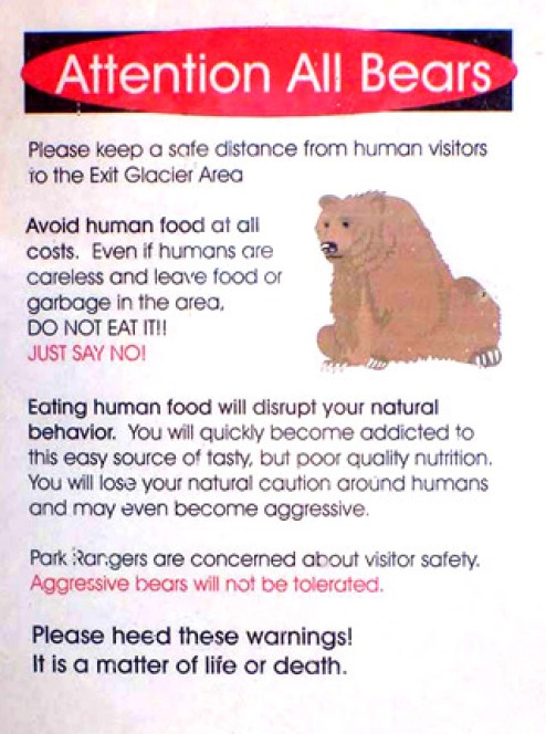 Bear poster