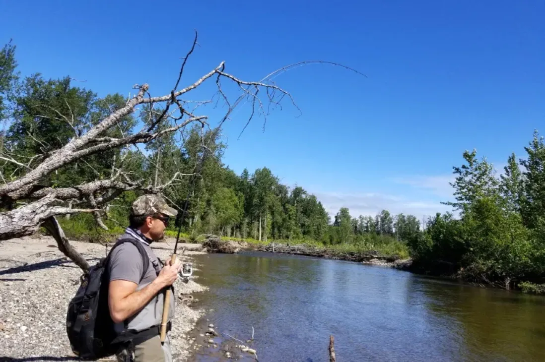 The Tordrillo Mountains and Chuitna River Watershed