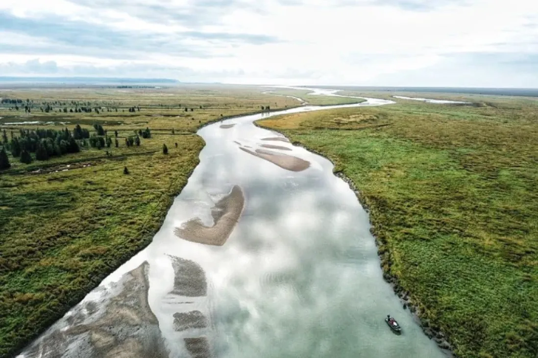 The West Foreland Silver Salmon Corridor